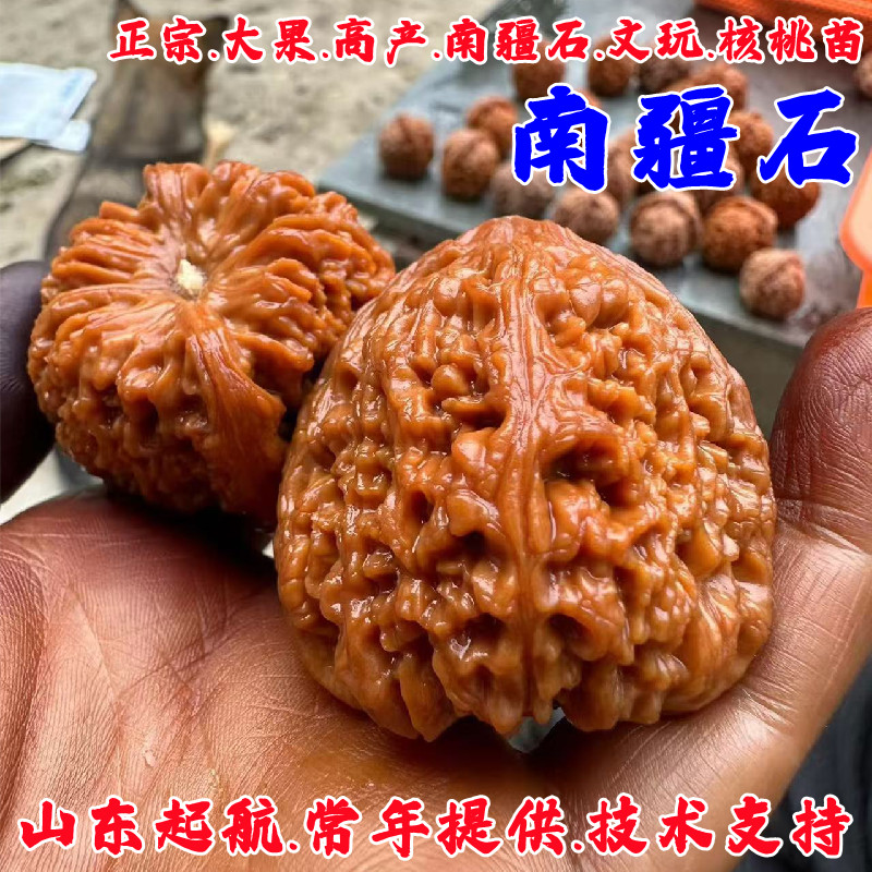 O1CN01u4vFsc1aKUNHzSNxm_!!