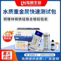 Sewage Heavy Metal Quick Test Bag Total Iron Six Price Chrome Copper Nickel Cadmium Detection Test Paper Zinc Manganese Lead Ion Kit