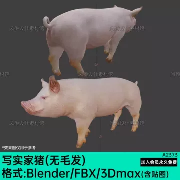 母猪-母猪促销价格、母猪品牌- 淘宝