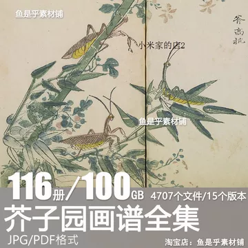 康熙芥子园画传-康熙芥子园画传促销价格、康熙芥子园画传品牌- 淘宝