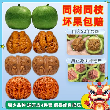 文玩堂：南瓜墩（雷蒙锤） 文玩核桃南瓜墩-文玩核桃南瓜墩促销价格、文玩核桃南瓜墩品牌- 淘宝