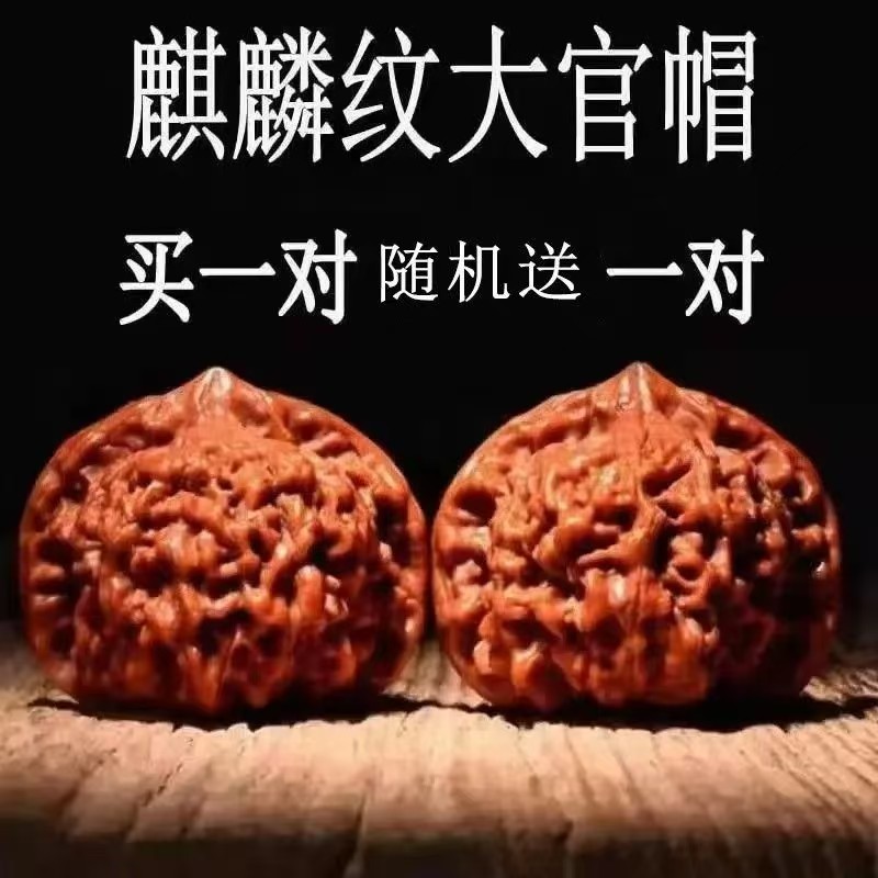 高品質】文玩核桃 老樹赤皮山地 麒麟紋官帽 42mm 老树文玩核桃-老树文