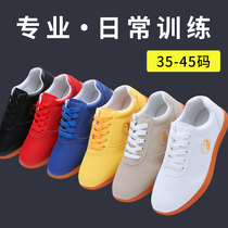 Senior professional Taiji shoes womens winter cattle tendons martial arts training shoes tai chi shoes mens practice shoes autumn and winter flagship store