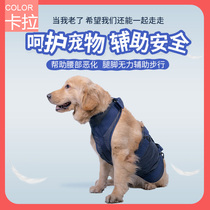 Pet aid with elderly dog disabled injured pooch front and back legs unable to go up and down to help with traction to protect the spine