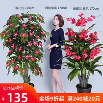 Fake tree fortune tree Phalaenopsis red palm simulation plant landing pot large living room bonsai plastic flower tree