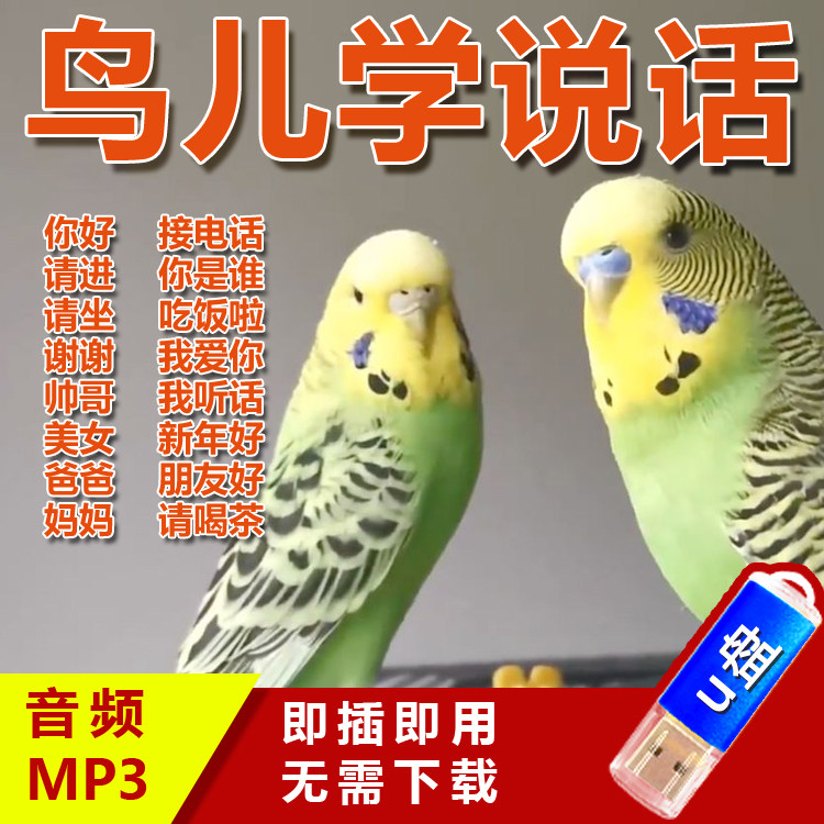 鸟儿数码-鸟儿数码促销价格、鸟儿数码品牌- 淘宝