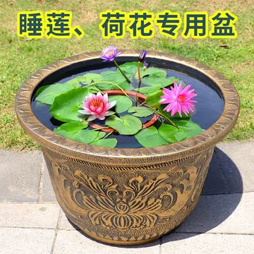 大型荷花种植缸-大型荷花种植缸促销价格、大型荷花种植缸品牌- 淘宝