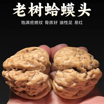老树一代文玩核桃-老树一代文玩核桃促销价格、老树一代文玩核桃品牌- 淘宝