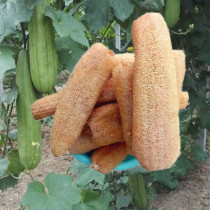 Natural loofah network dish brush pot dry loofah flesh Loofah tendon cleaning cloth Old loofah brush bowl towel Kitchen dish cloth