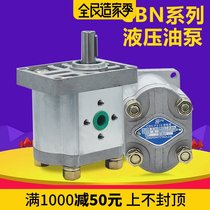 The hydraulic oil pump high-pressure gear pump CBN-F304 306 308 310 312 314 316 320 325