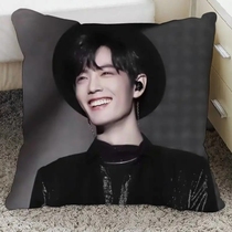 Boshaw custom-made cuddle with pillow (customizable in a customizable) fabric