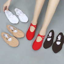 Elastic dance shoes student shape shoes adult men and women indoor soft bottom practice shoes Childrens Ballet Cat claw shoes