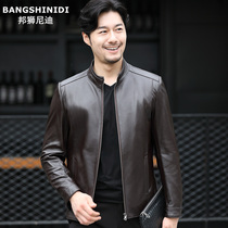 Standing collar leather leather jacket male middle-aged thin first layer sheep leather jacket autumn and winter Korean version handsome short coat