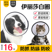 Dog collar headgear Cat collar Neck cover Cat anti-licking ring Cat pet dog hood Anti-biting ring supplies