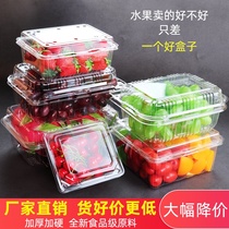 Disposable fruit box packaging box thickened blueberry strawberry fruit and vegetable plastic box transparent with lid cover packing box