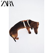 ZARA winter new pet harness strap 06399009711