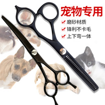 Pet beauty scissors set Teddy hairy dog professional tools bending scissors haircut haircut artifact cat supplies