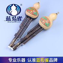 Blue Peacock gourd c tone flat B tone G F tune Yunnan musical instrument monopoly beginner
