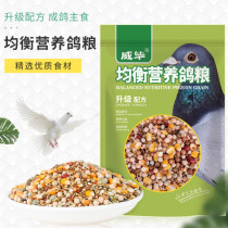 Pigeon food feed pigeon breeding pigeon racing pigeon pea nutrition material with corn small grain food pigeon food