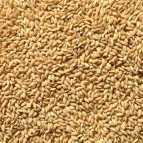 Shelled Rice Rice high quality rice chicken duck Bird pigeon pet removal feed Zhejiang Anhui 25kg