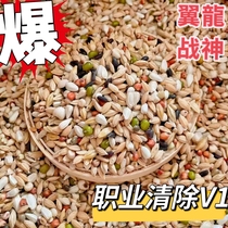 Wing Dragon Special Class Cleared V1 Professional Racing Pigeon Special Pigeon Grain Swap pigeon feed 45 kien of Zhejiang Shanghai