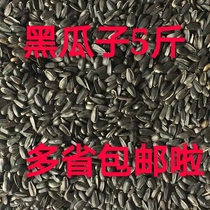 Black pearl Small black melon seeds Sunflower seeds Oil sunflower seeds Parrot bird food Hamster food Bird food Pigeon food 5 kg more province