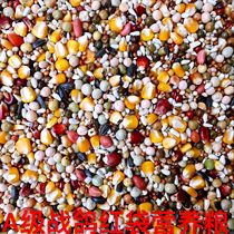 Battle pigeon special A fine pigeon grain with corn nutrition pigeon feed race pigeon ornamental pigeon grain 50kg