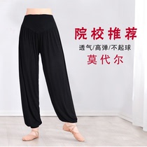 Dance pants Practice clothing Womens suit Latin dance Chinese style modern dance body suit top Radish bloomers summer