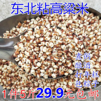 2021 new rice 5kg northeast sticky sorghum rice red glutinous sorghum rice peeled sticky glutinous sorghum rice dumplings boiled porridge