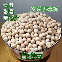 20 pounds of white peas big white beans new dried peas pigeon food raw peas germination wine Chongqing noodle raw materials