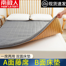 Summer mat mattress cushion Household floor mat sleeping mat Student dormitory single mat winter and summer dual-use folding thin section