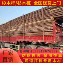 Landscaping project greening support Rod tree support Rod 2 m 3 m fir Rod windproof and anti-falling fir Rod