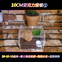 Acrylic feeding box reptile breeding box crawling pet feeding box Spider centipede scorpion crawling breeding landscape set high penetration
