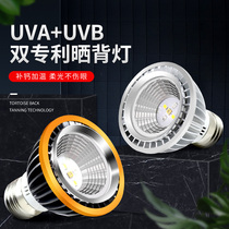 Turtle uvb sun back light uva full spectrum solar bulb turtle jar sun back Light Crawler lizard calcium bulb