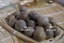 New product (Dragon Family)Small pet molar snack Squirrel Groundhog Flower branch mouse snack Small coconut