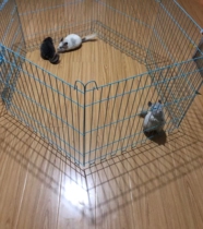 Chinchilla wind fence fence iron fence Pet cage Chinchilla dog fence It is recommended that fat Chinchilla rabbit use oh