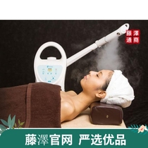 Official Fujisawa Japanese popular heat sprayer hydration instrument steaming face cinema beauty salon nano aromatherapy electronic spray