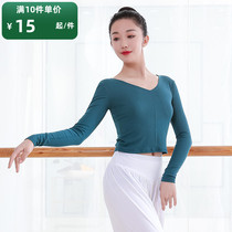 Chinese dance dance dress Female adult long sleeve V-neck Latin dance dress Ballet modern dance top Teacher art test
