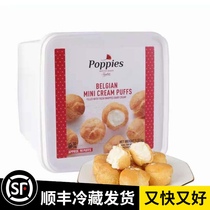 Sam Holland imported mini cream puff ice cream 1 32kg SF refrigerated delivery