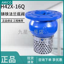 AMICO Emmeke H42X-16Q soft seal normal pressure ductile iron flange bottom valve DN50 engineering