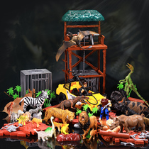 Childrens zoo dinosaur toy set simulation small animal model cognitive giraffe wild lion cow boy