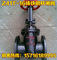 Z41T-16 10 Ming rod flange gate valve cast iron copper core gate valve DN80 100150200250300