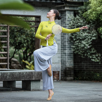 Chinese style folk classical dance practice uniform female body rhyme cheongsam top performance suit modern dance