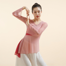 Classical dance practice clothes female Chinese style folk dance costume body rhyme elegant gauze garment body top dance costume