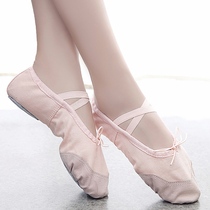 Body dance female adult children soft bottom practice dancing cat claw shoes classical dance exercise ballet shoes China