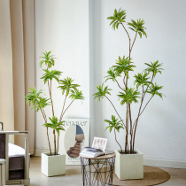 Shuhan simulation green plant fake tree potted lily bamboo bionic plant decoration floor-to-ceiling decoration living room bonsai tree decoration