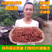 Wild Salvia Salvia Strips Natural Premium Salvia Slices Tea Salvia Powder 500g Chinese Herbal Medicine