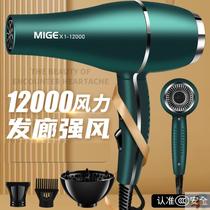 Hair dryer home quick-drying barber shop dedicated high-power 3000W negative ion hair care dormitory hair stylist dedicated