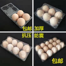Egg box egg tray plastic box disposable packaging box shockproof egg tray