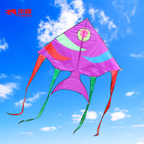 Yongjian Weifang kite long tail big swallow fish kite cartoon kite with full reel breeze easy to fly